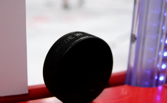 Yaroslavl Court Orders Hockey Team to Compensate Injured Fan