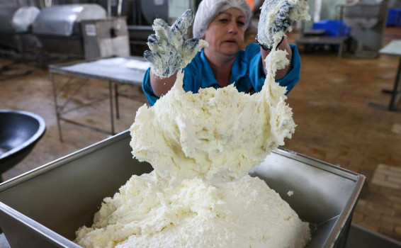 Russian Dairy Products Contain Banned Enzyme, Violate EAEU Regulations